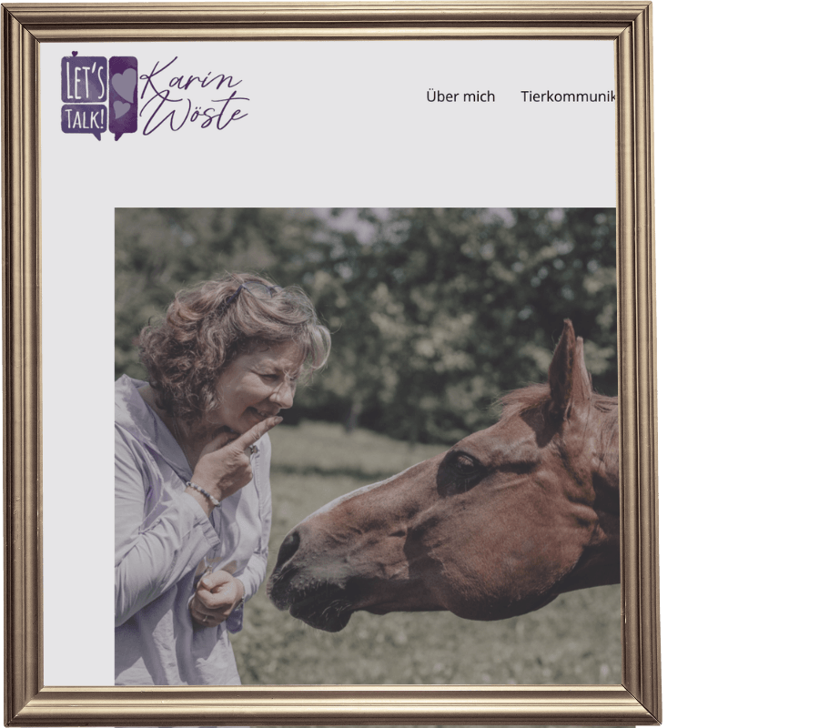 Karin Wöste Portfolio